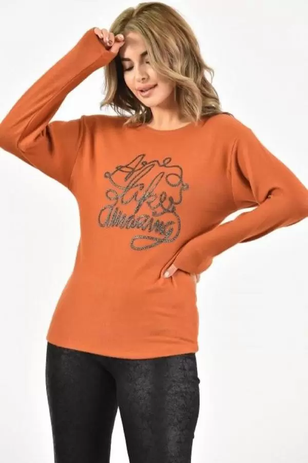 Bisiklet Yaka Nakış Baskılı Örme Kiremit Kadın Bluz